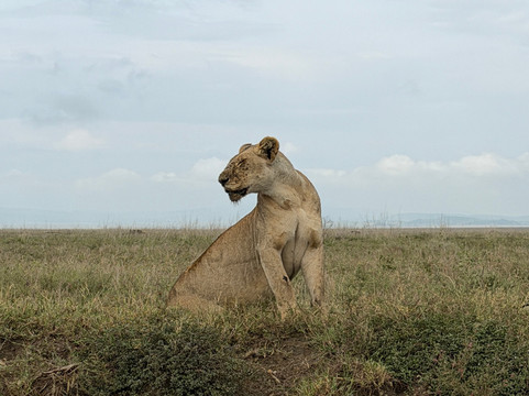 Passionate Safaris-Dar es Salaam必去景点