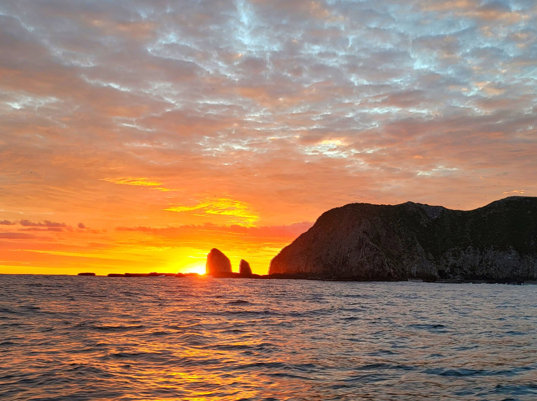 Sea Life Costa Rica-Cabuya必去景点