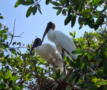 Playa Linda-印坦巴/芝华塔尼欧必去景点