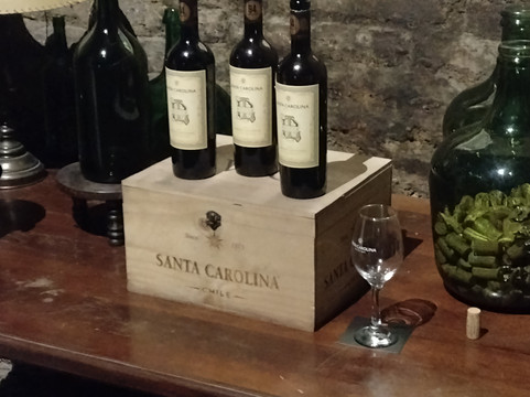 Vina Santa Carolina-圣地亚哥必去景点