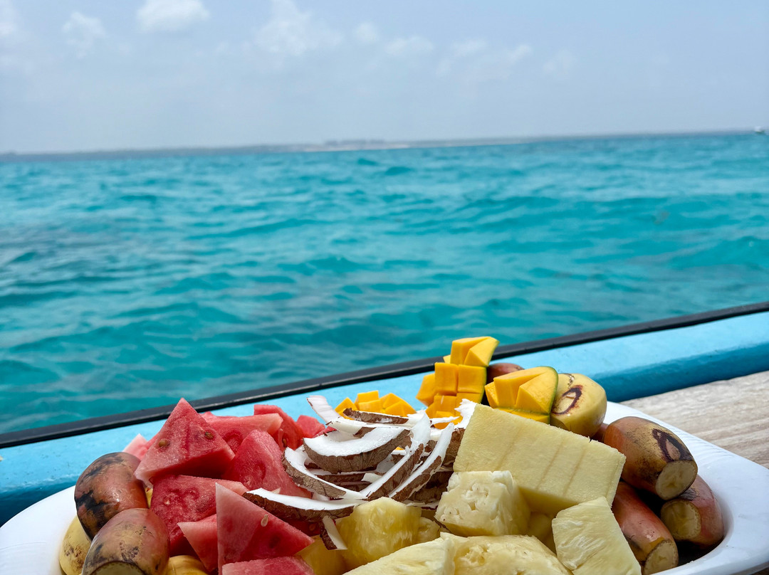 Guide Francophone Ahmed Zanzibar-桑给巴尔岛必去景点
