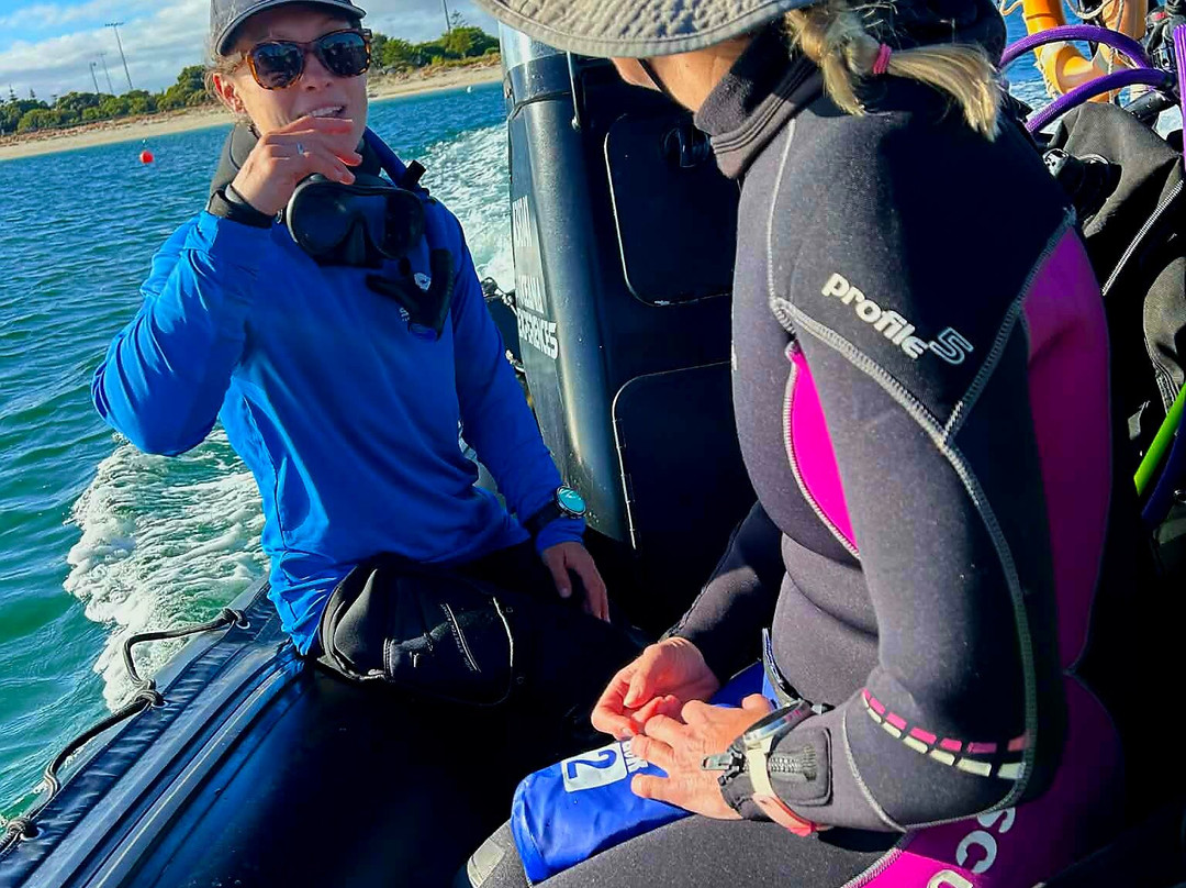 Swan Dive Busselton-巴瑟尔顿必去景点