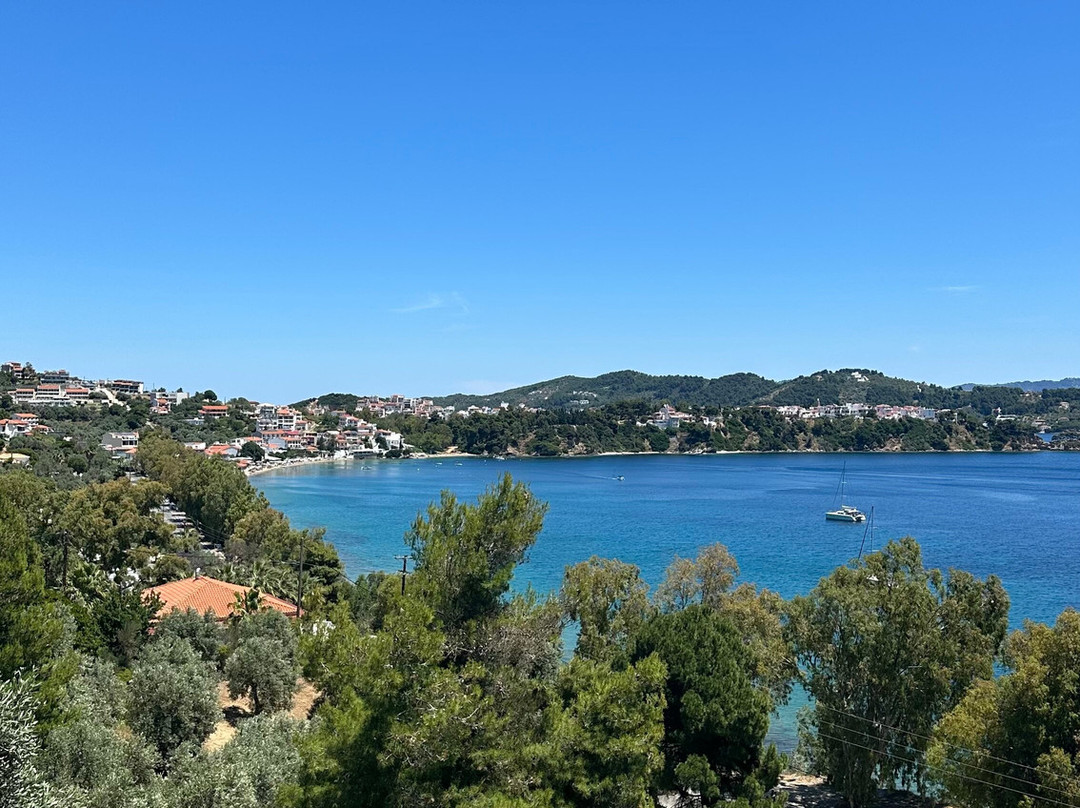 Hotel Villa Alexis主图