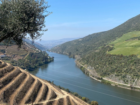 Quinta dos Frades-Armamar必去景点