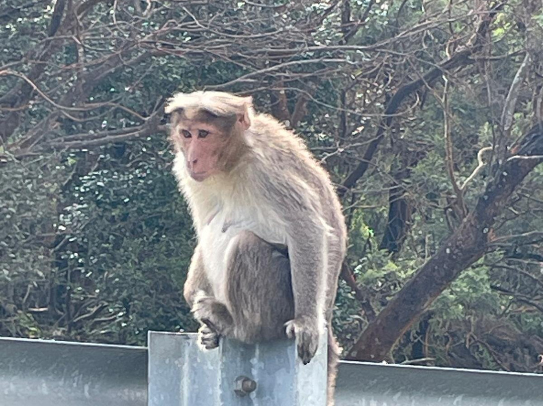 Ab Original Motorcycle Adventures Tours-新德里必去景点