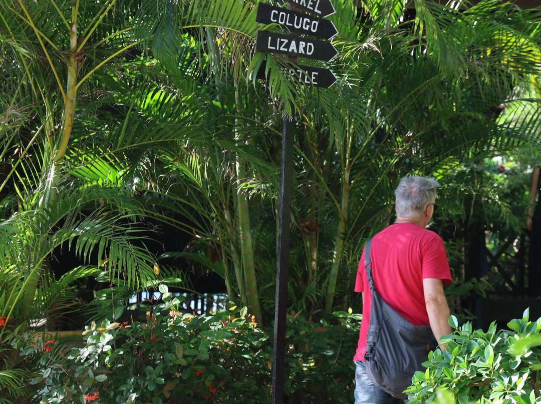 梅丽娜海滩度假村酒店主图