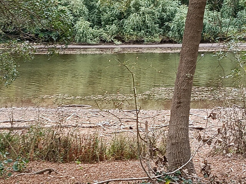 Valley Lake/ketla Malpi-芒特甘比尔必去景点