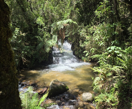 Parque Estadual Campos do Jordao-坎普斯－杜若尔当必去景点