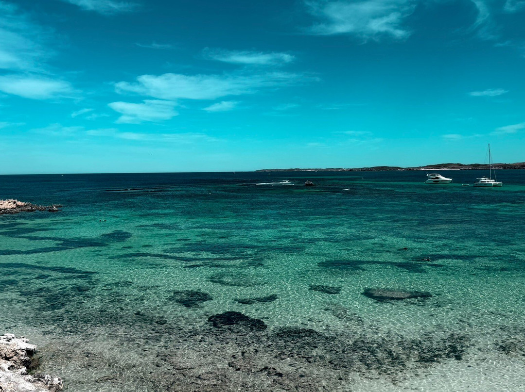 Little Salmon Bay-罗特尼斯岛必去景点