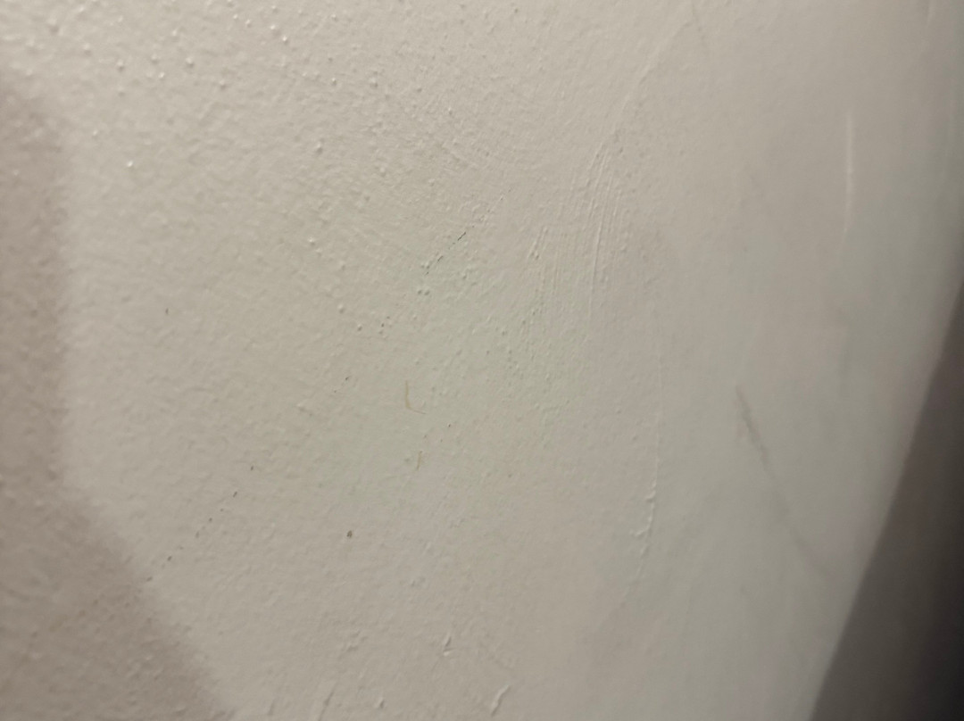 查尔斯顿豪斯特经济旅馆主图