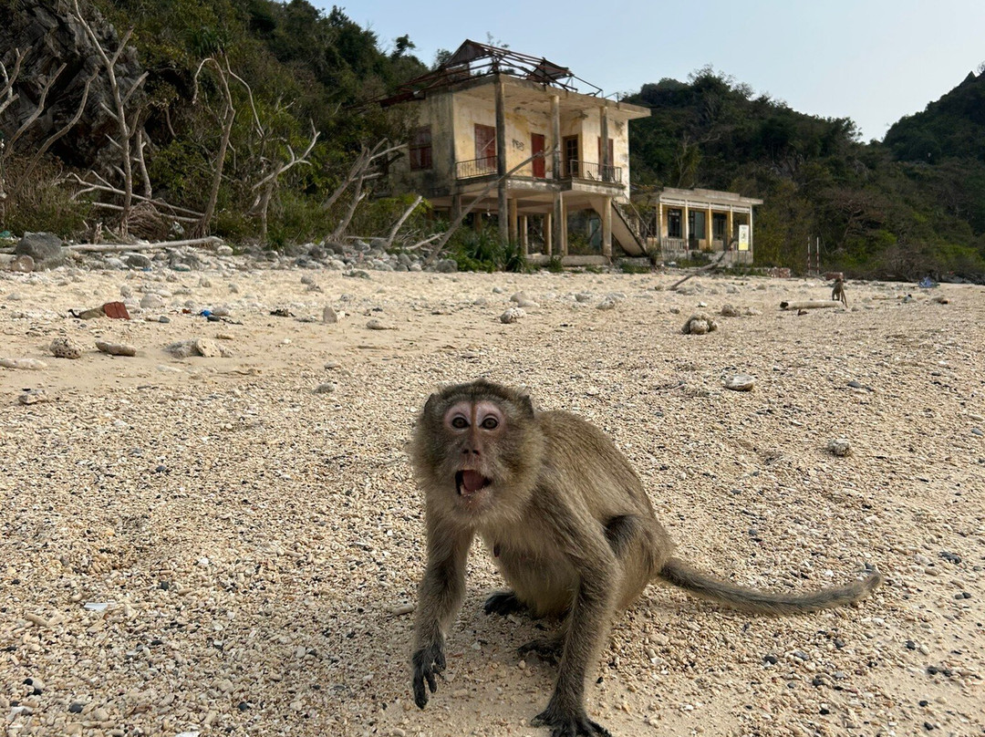 Cat Ba Eco Tourist-Cat Ba Town必去景点