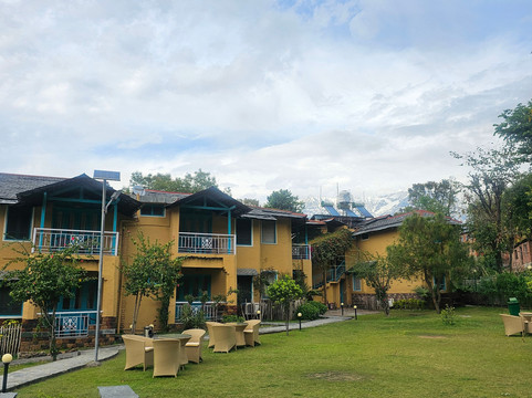 Tree of Life Birdsong Chalets主图