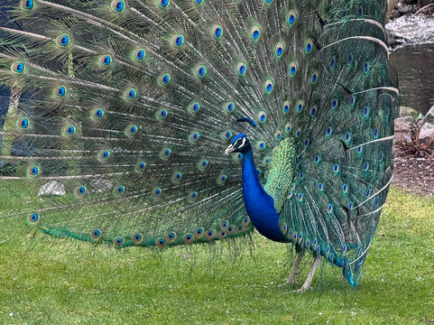 Hofgut Holzmuhle主图