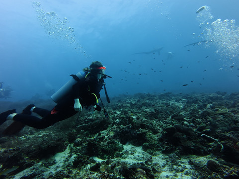 妈妈拍丝瓜岛维达海滩潜水中心-妈妈拍丝瓜岛必去景点