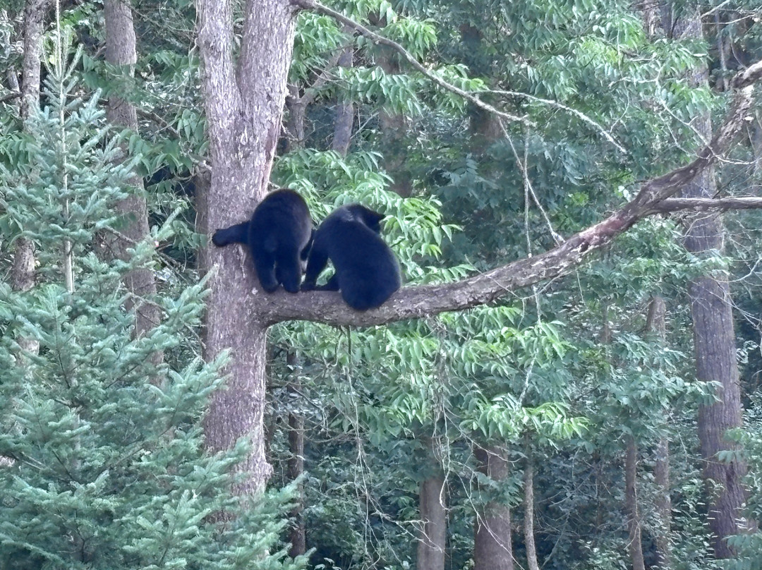 Vince Shute Wildlife Sanctuary-Orr必去景点