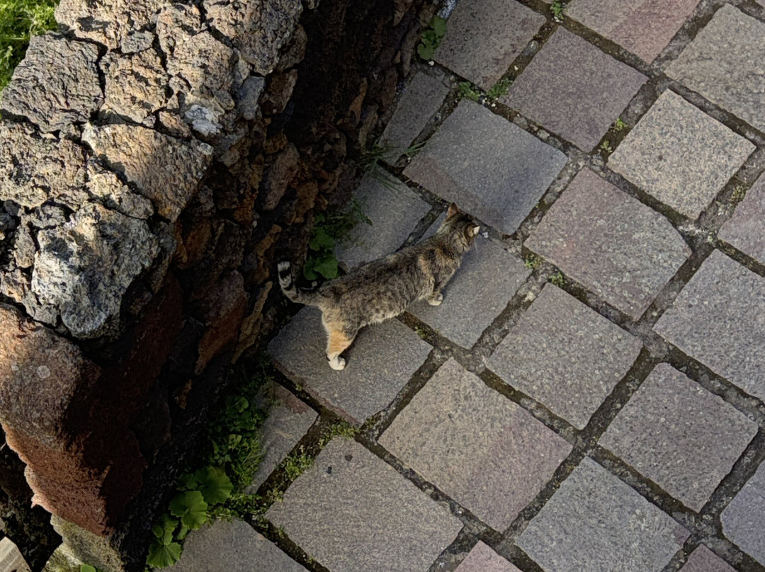 Casas Rurales Poblado Jirdana主图