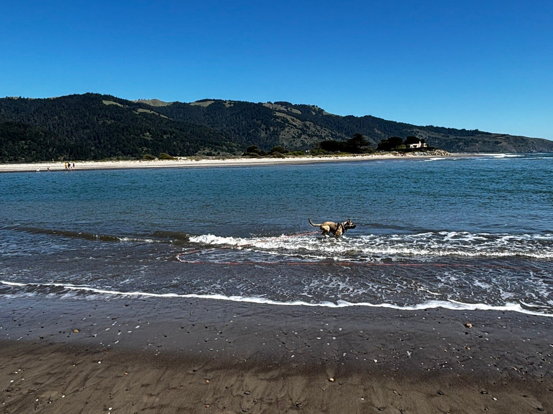 Bolinas Beach-Bolinas必去景点