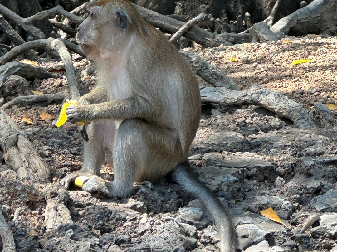 Russian Guide in Langkawi-兰卡威必去景点