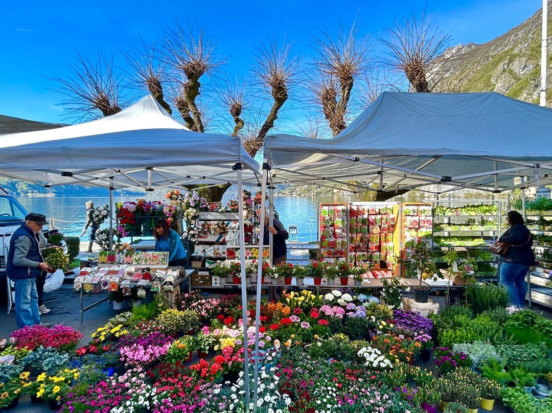 Saturday Market Of Porlezza-Porlezza必去景点