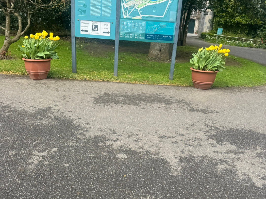 Farmleigh House and Estate-都柏林必去景点
