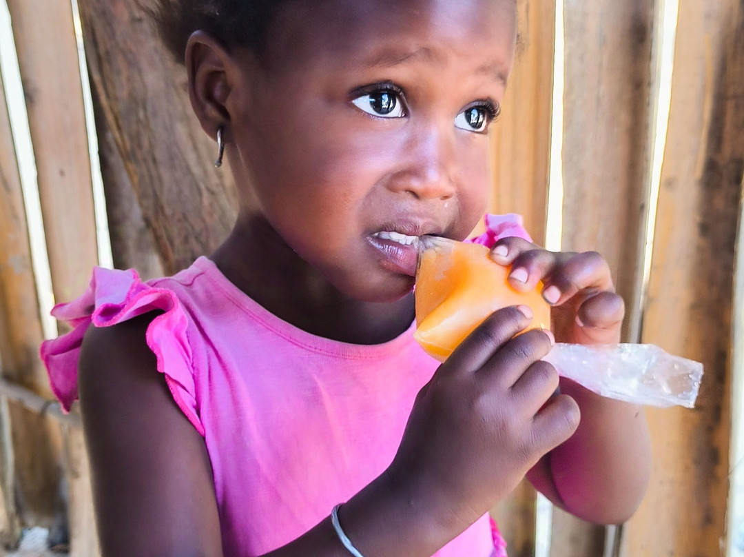 Senegal with Alex-达喀尔必去景点