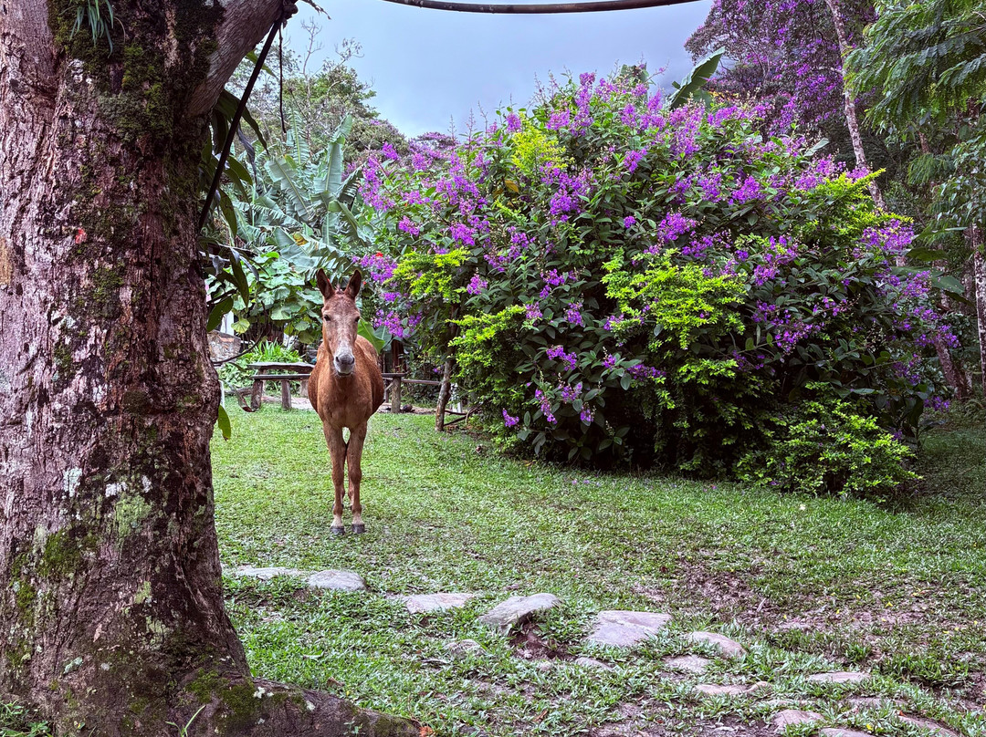 Saulo Trekking - Agencia de Turismo.-Vale do Capao必去景点