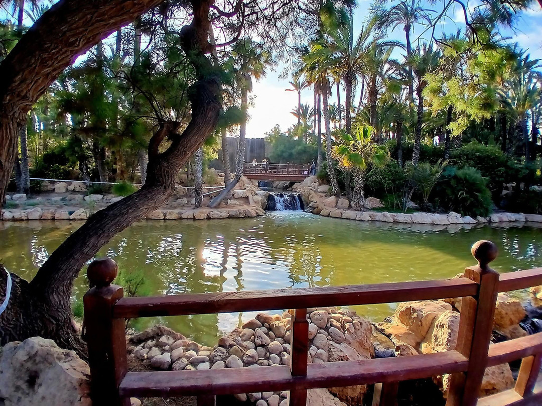 Parque El Palmeral-阿利坎特省必去景点