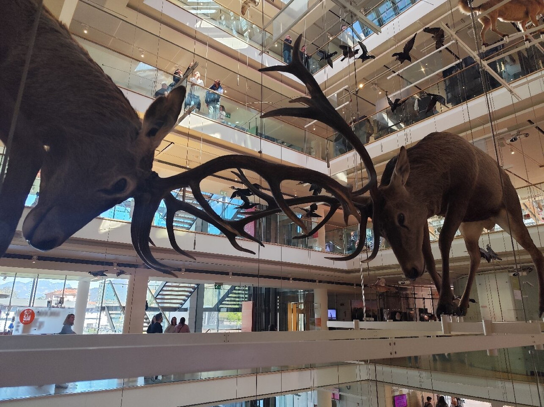 MUSE - Science Museum-特伦托必去景点