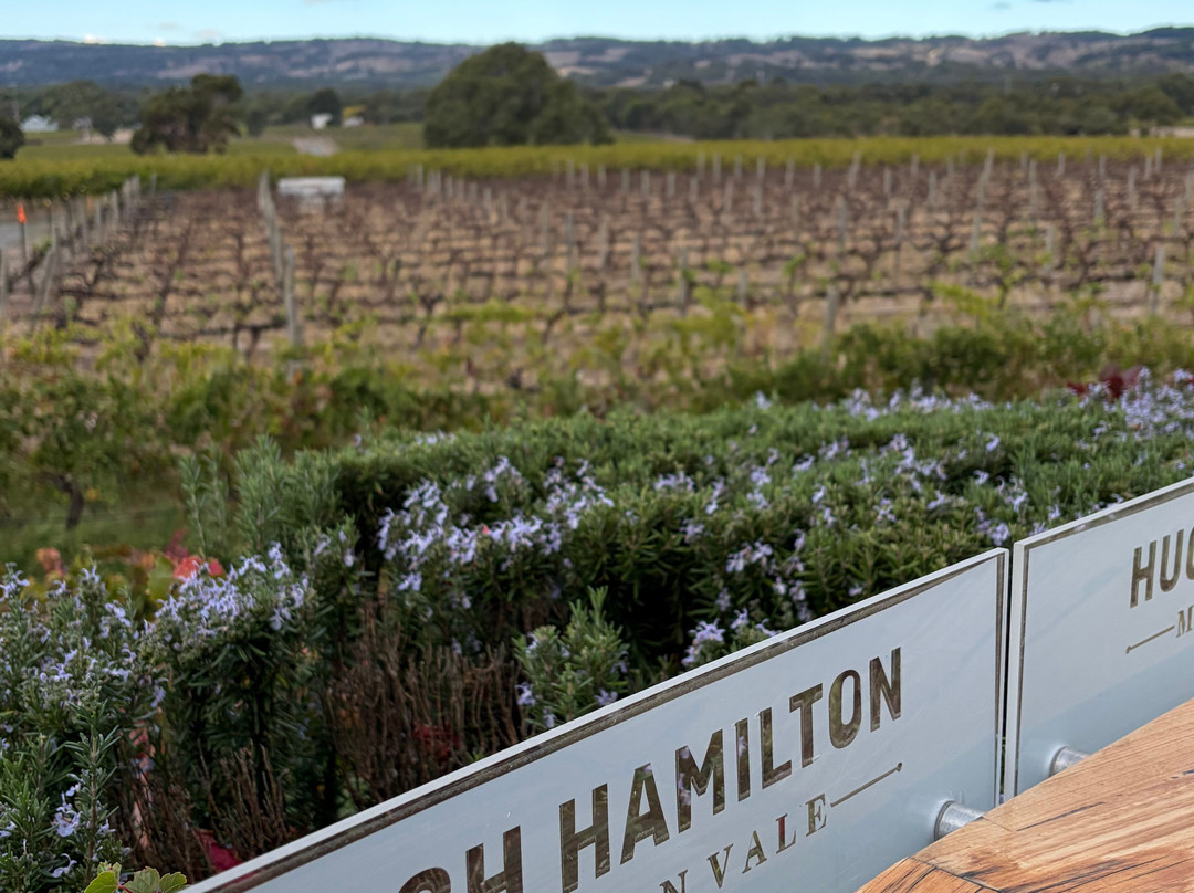 Hugh Hamilton Wines-麦克拉伦谷必去景点