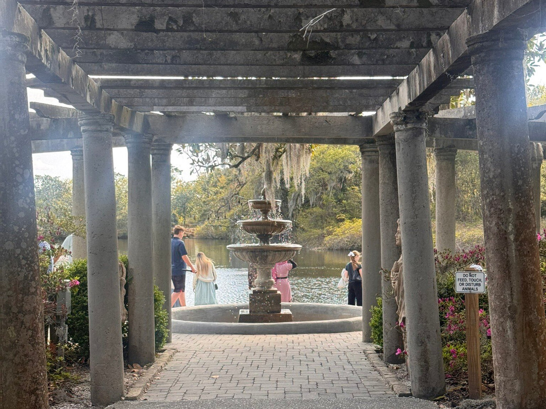 Airlie Gardens-威尔明顿必去景点