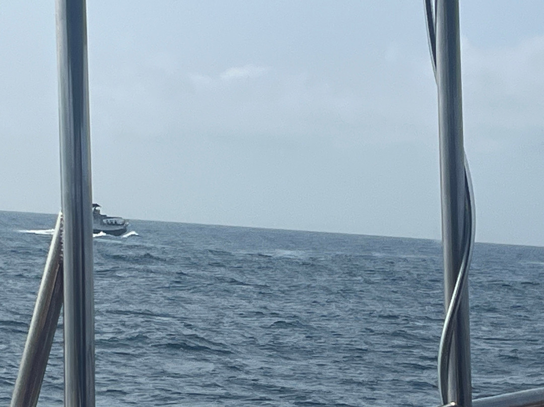 Nathalia Cruise-美蕊沙必去景点