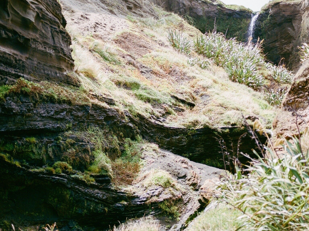 Kariotahi Beach-Waiuku必去景点