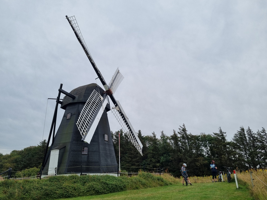 Vennebjerg Moelle-约林必去景点