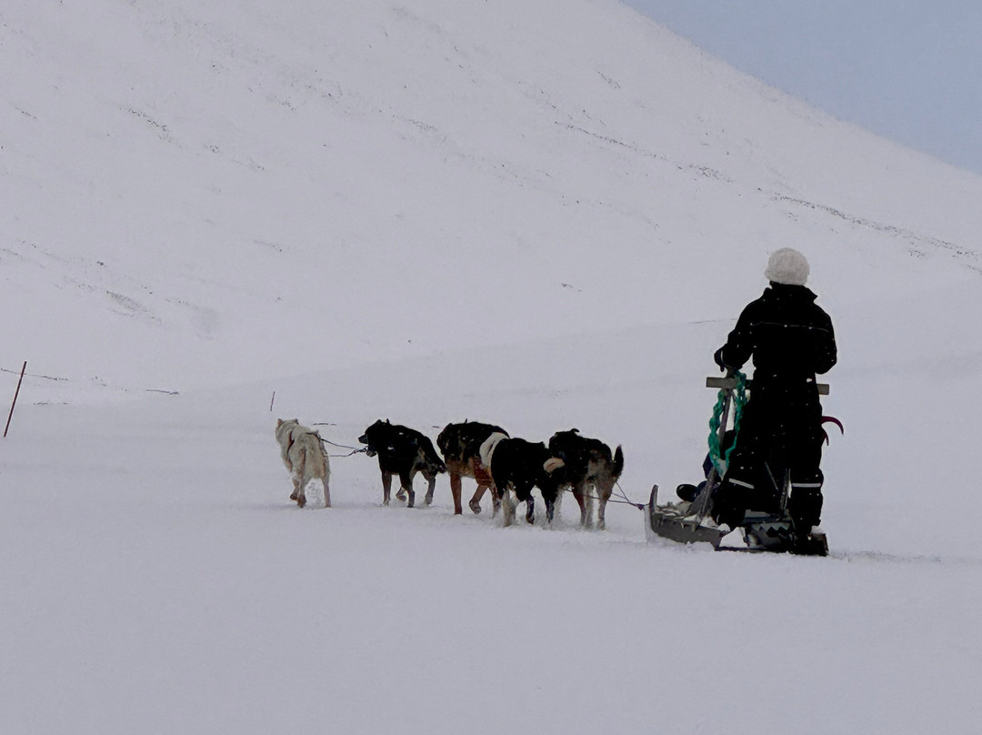Green Dog Svalbard-朗伊尔城必去景点