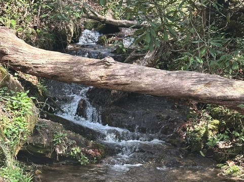 Deep Creek Trail-布赖森城必去景点