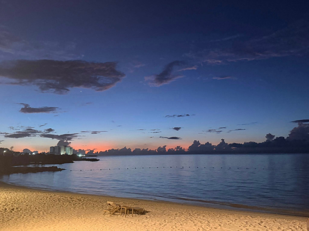 伊比利亚之星乔亚玫瑰堂主图