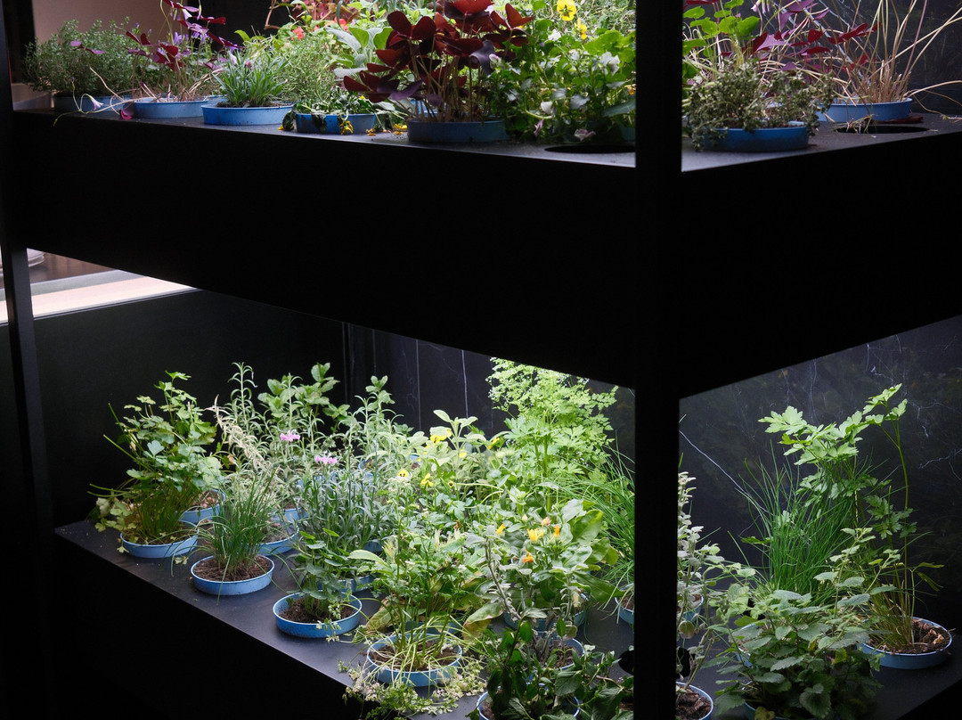 德拉科住宿大酒店主图