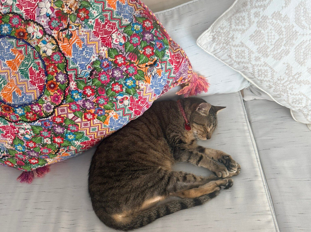 卡萨拉斯托尔图加斯珀蒂海滩酒店及水疗中心主图