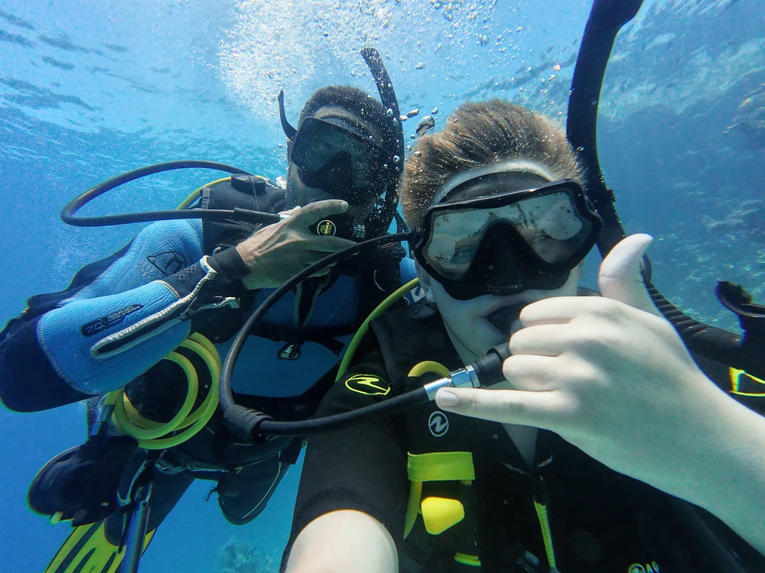 Reef Oasis Dive Club-沙姆沙伊赫必去景点