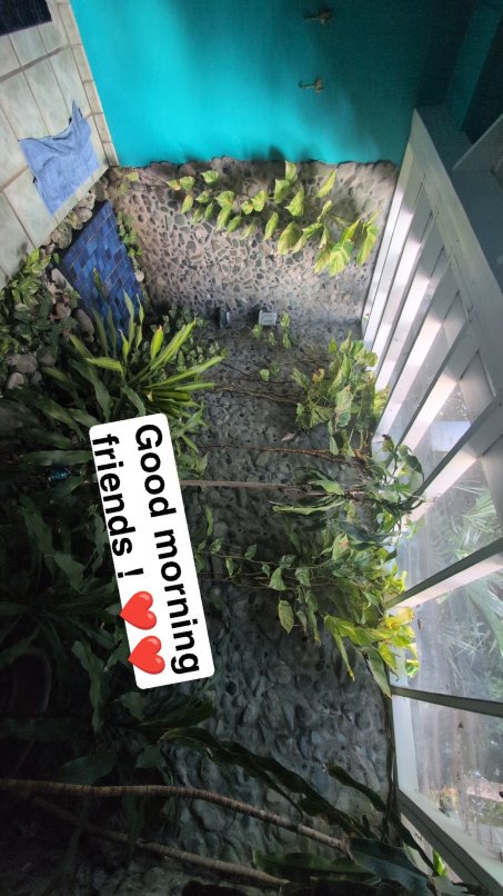 Garden by the Sea B&B-浴室