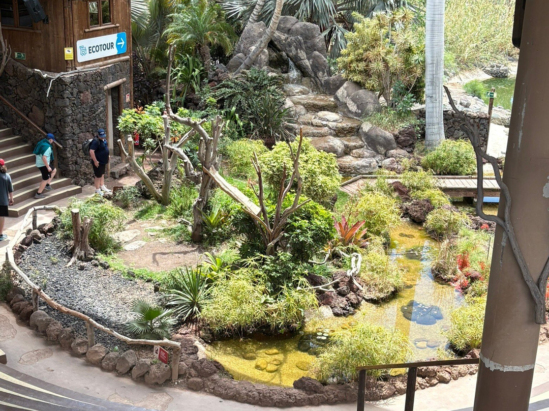 Oasis Park Fuerteventura-La Lajita必去景点