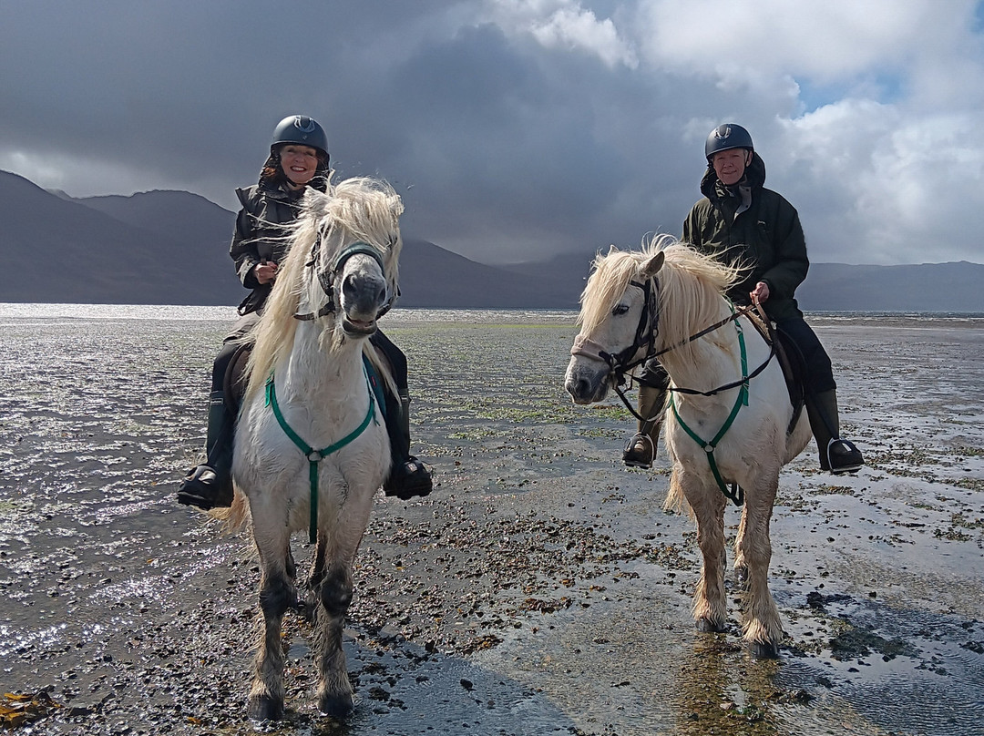 Mull Pony Trekking-马尔岛必去景点