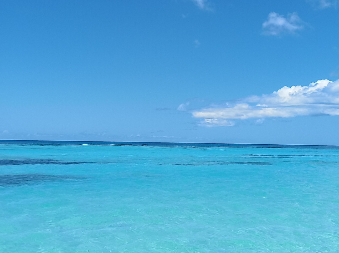 Mariposa Tours-Bayahibe必去景点