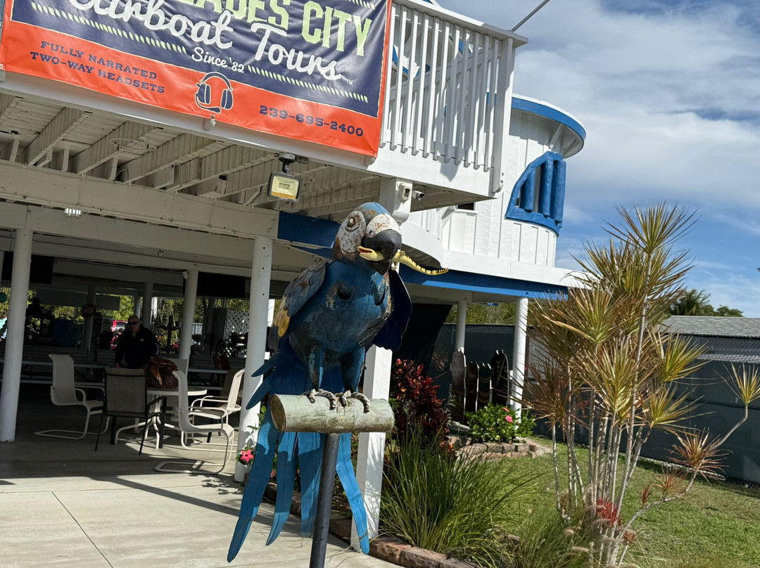 Everglades City Airboat Tours-大沼泽地必去景点