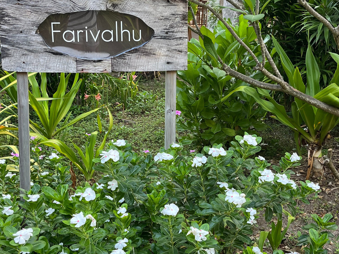 马尔代夫库拉马蒂度假村主图