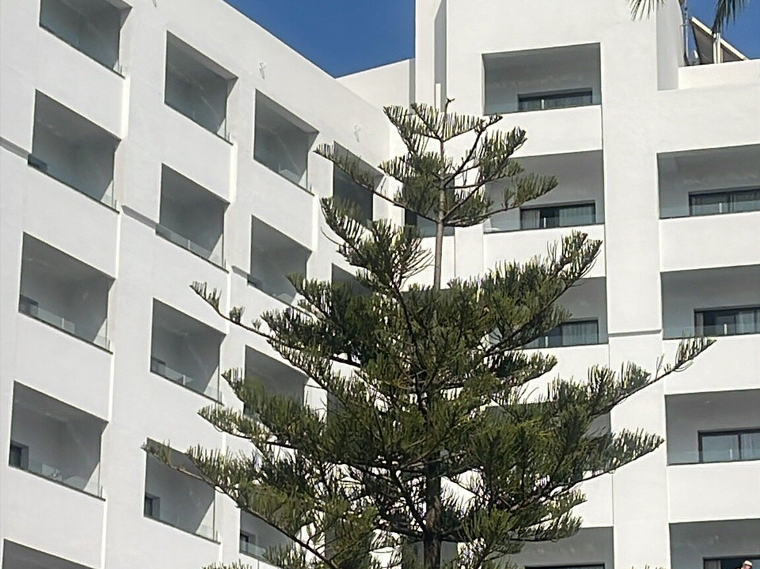 Riu莫妮卡酒店-限成人主图