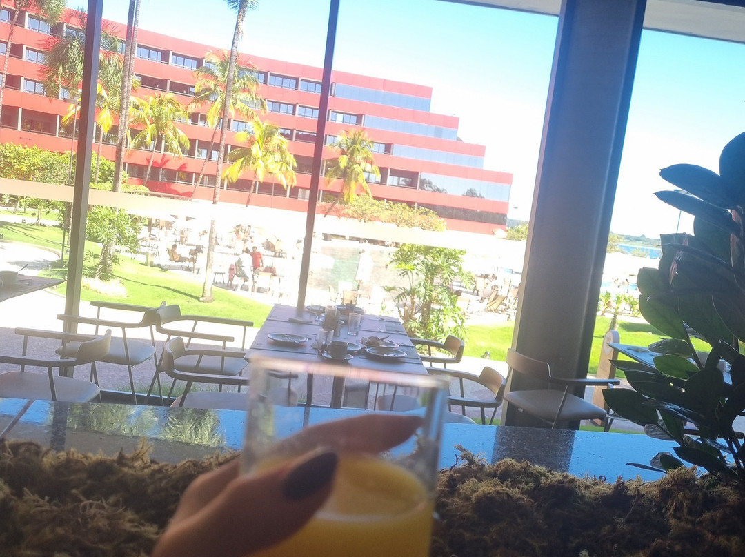 巴西利亚阿尔沃拉达皇家郁金香酒店主图