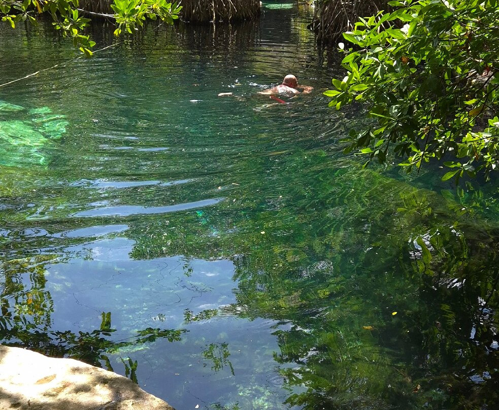 Cenote Cristalino-普拉亚德尔卡曼必去景点