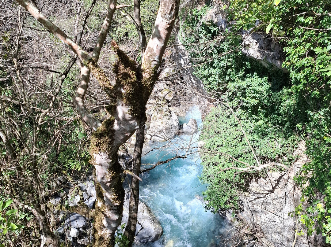 Lousios Gorge-Dimitsana必去景点