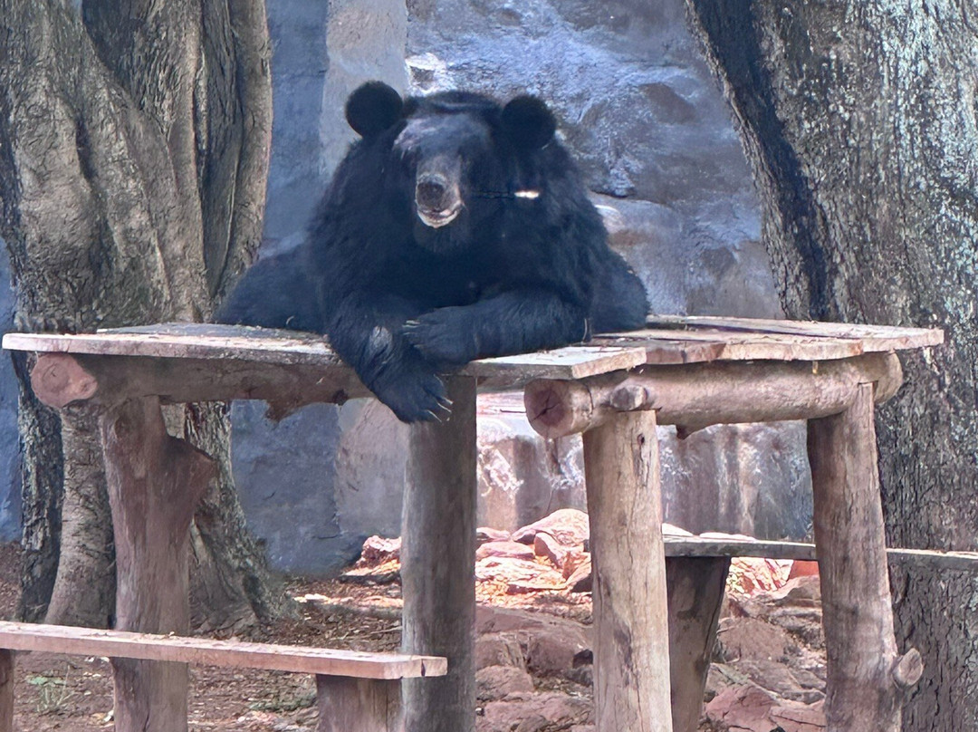 Sri Chamarajendra Zoological Gardens-迈索尔必去景点